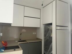Normanton Park (D5), Apartment #555185011